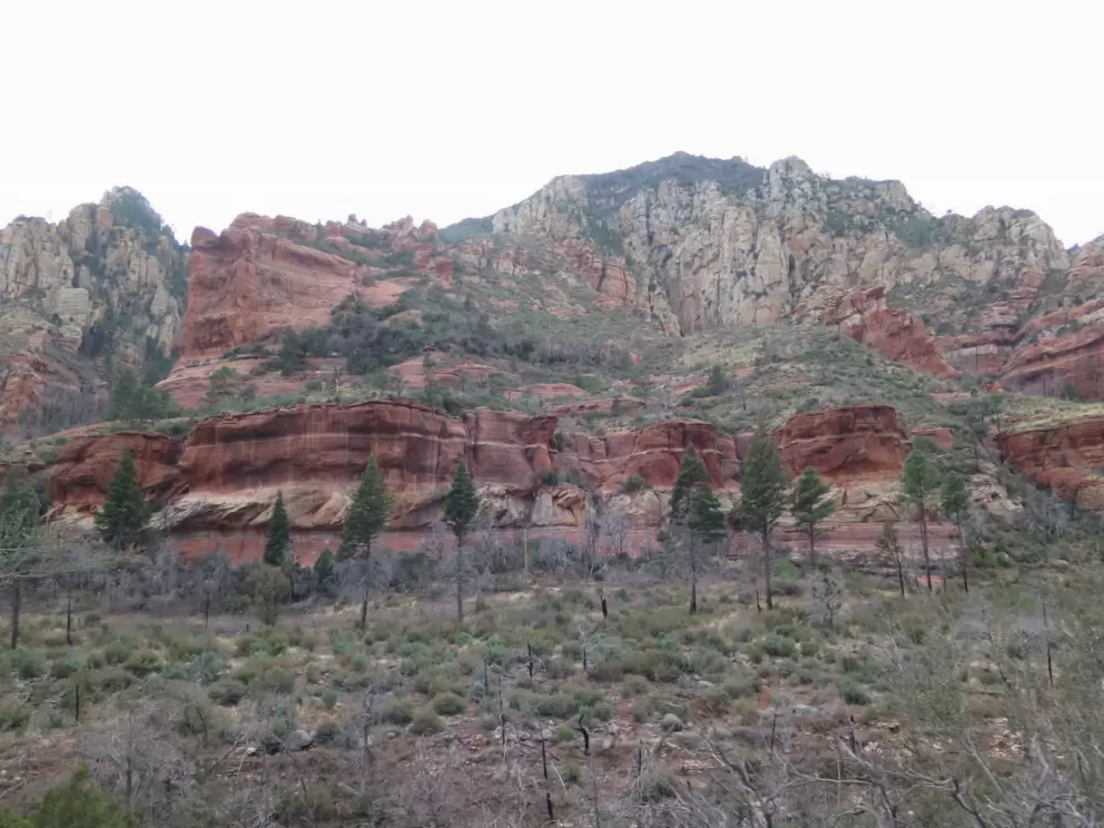 The amazing red rock cliffs!