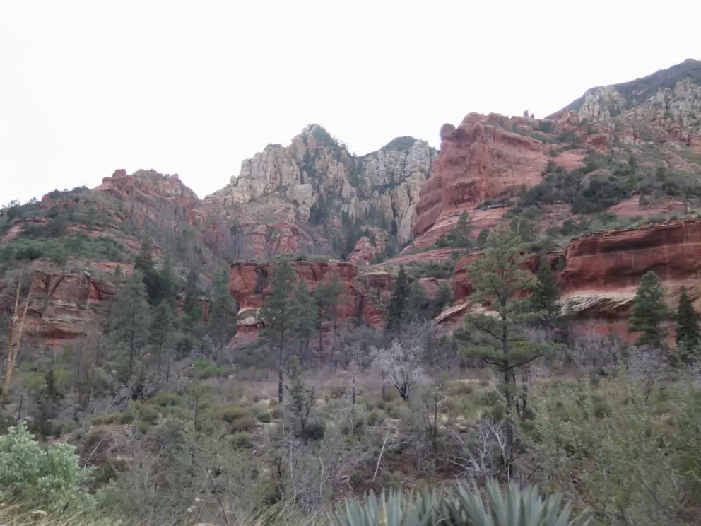 All kinds of shapes in the red rock!