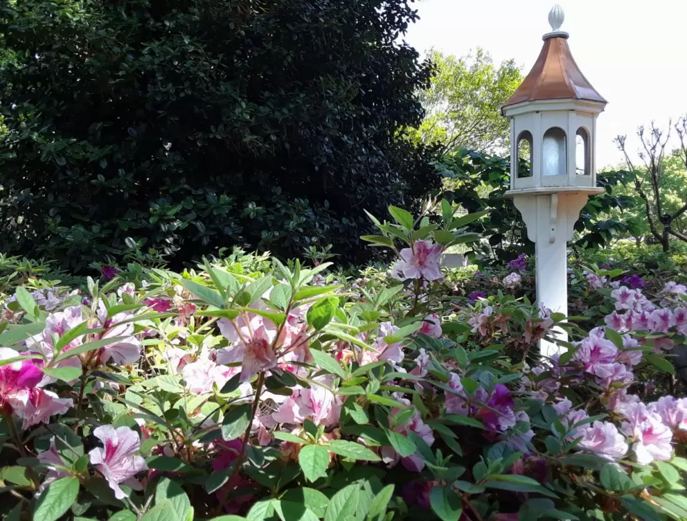 Lantern and flowers.