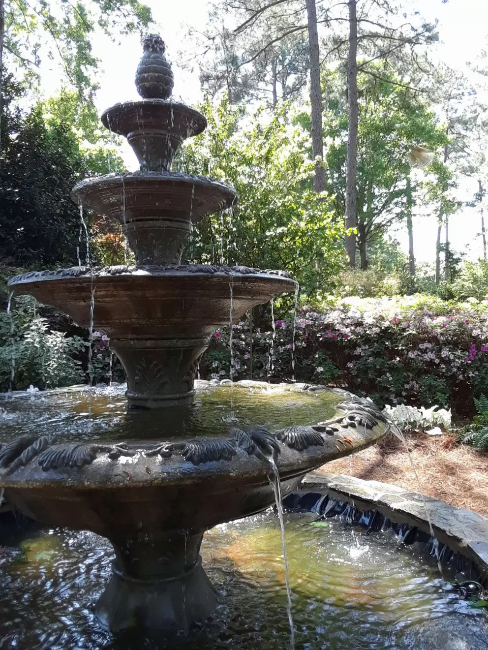 Fountain in the woods.