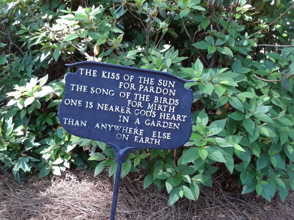 The kiss of the sun for pardon, the song of the birds for mirth, one is nearer God's heart in a garden than anywhere else on earth.
