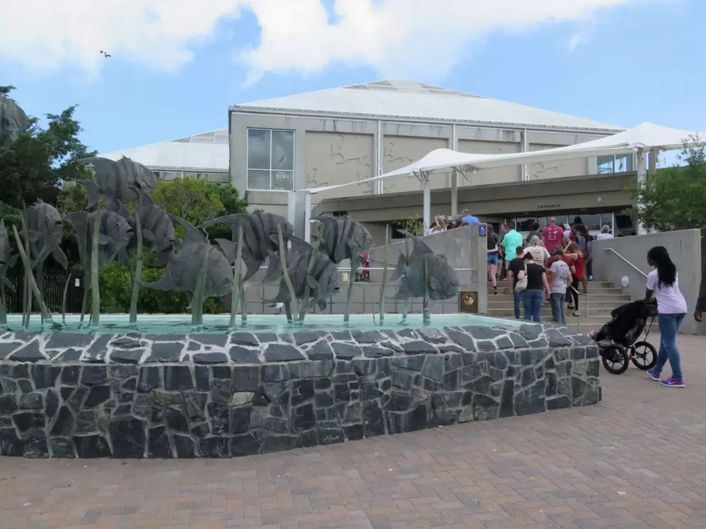 The entrance with school of fish sculpture fountain.