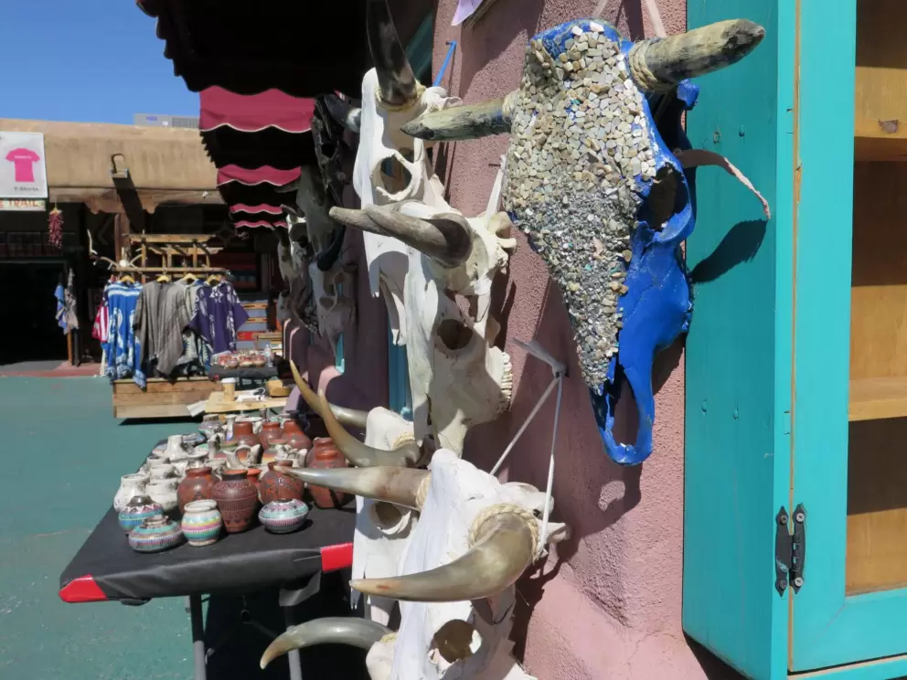 Painted cow skulls.