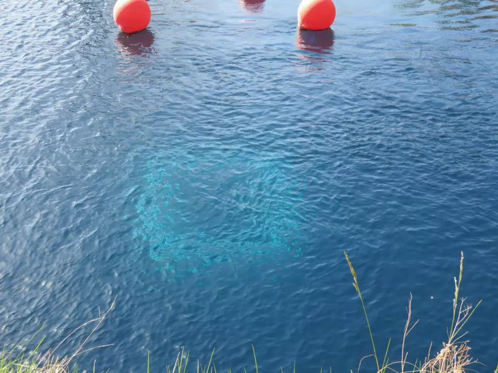 The underwater cave where the water bubbles from.