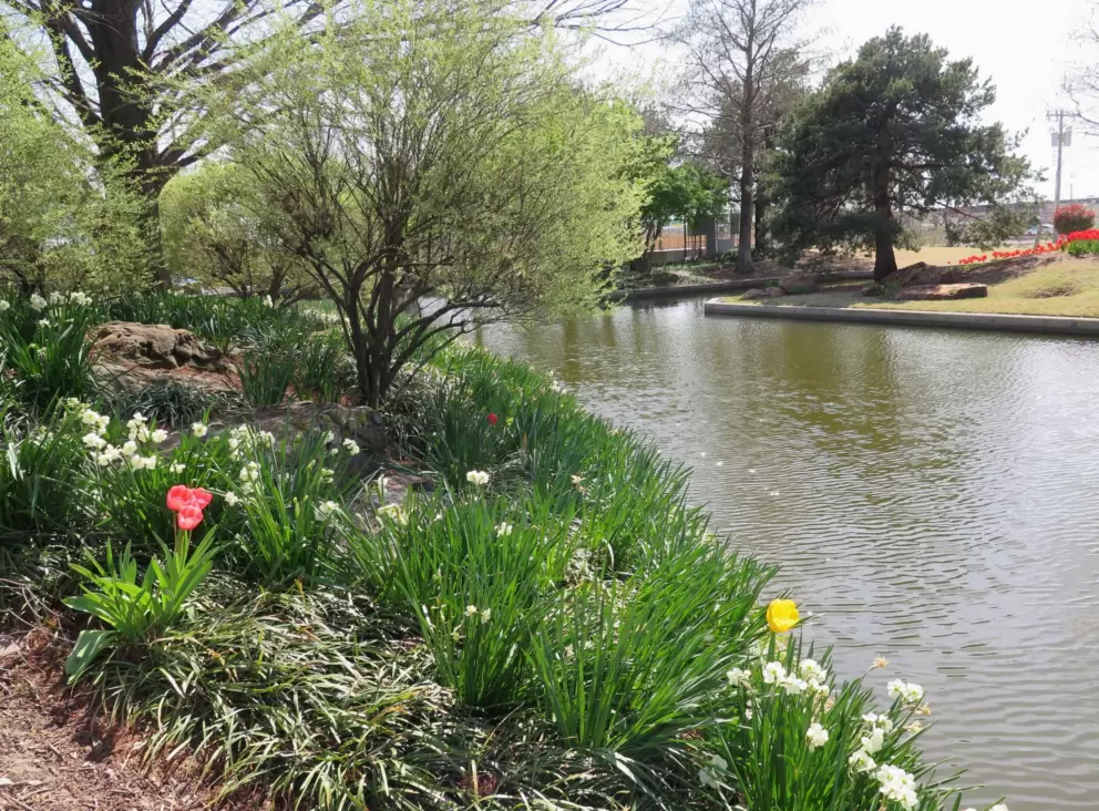 Daffodils and tulips.