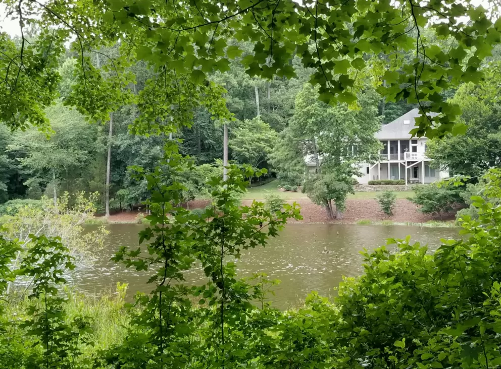 Lovely leaves and lake.