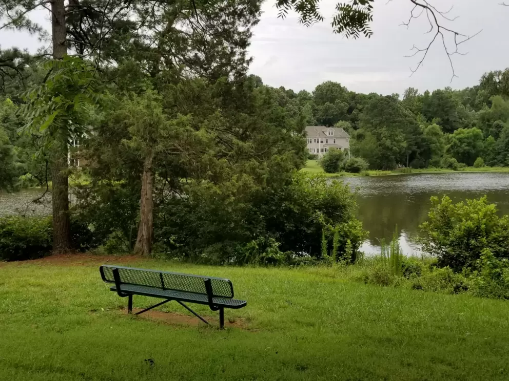 Bench with a view.