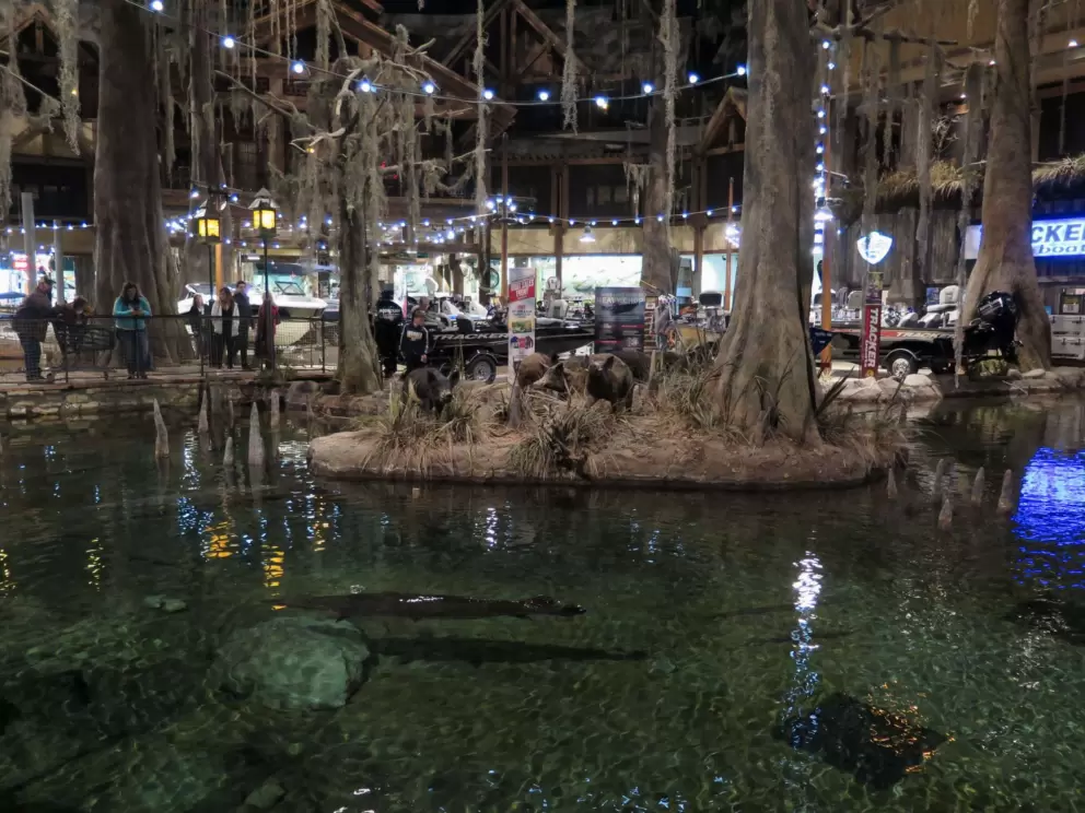 Gorgeous atmosphere- lights on a lagoon.