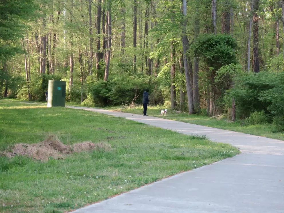 Taking Fido for a walk.