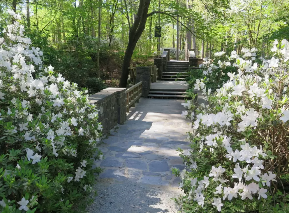 Springtime whites.