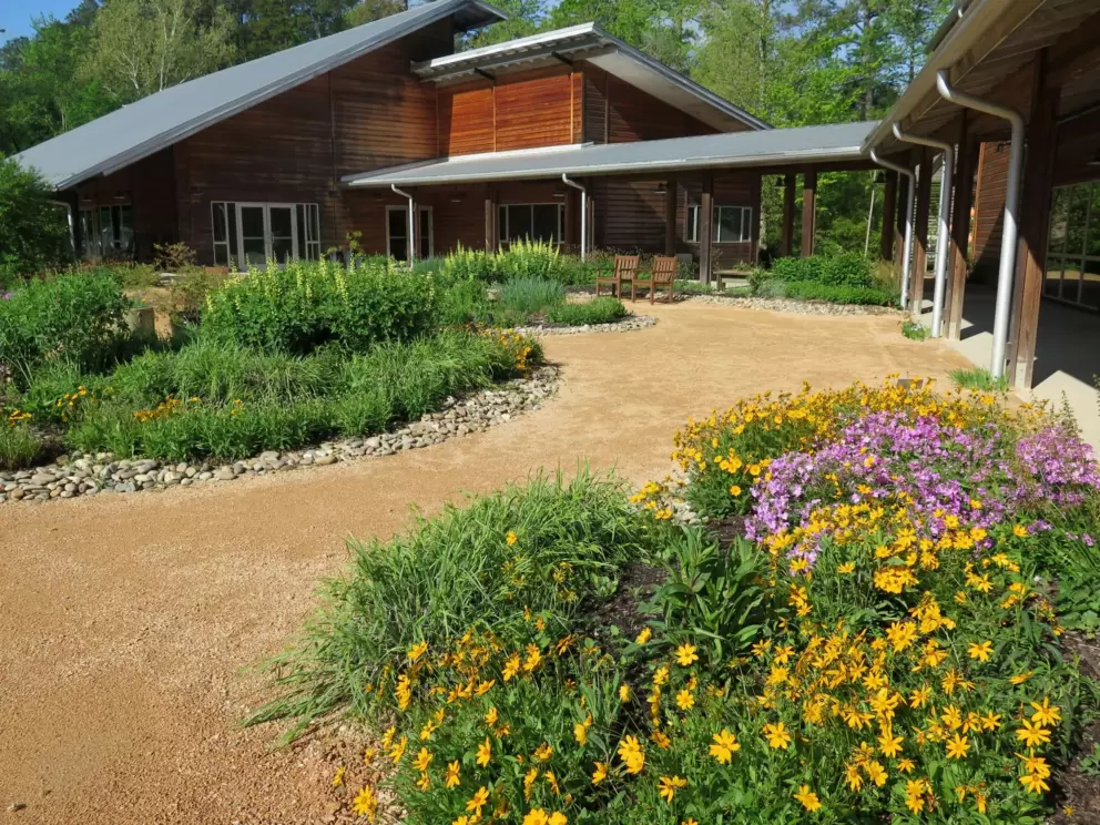 Colorful flowers and visitor building.