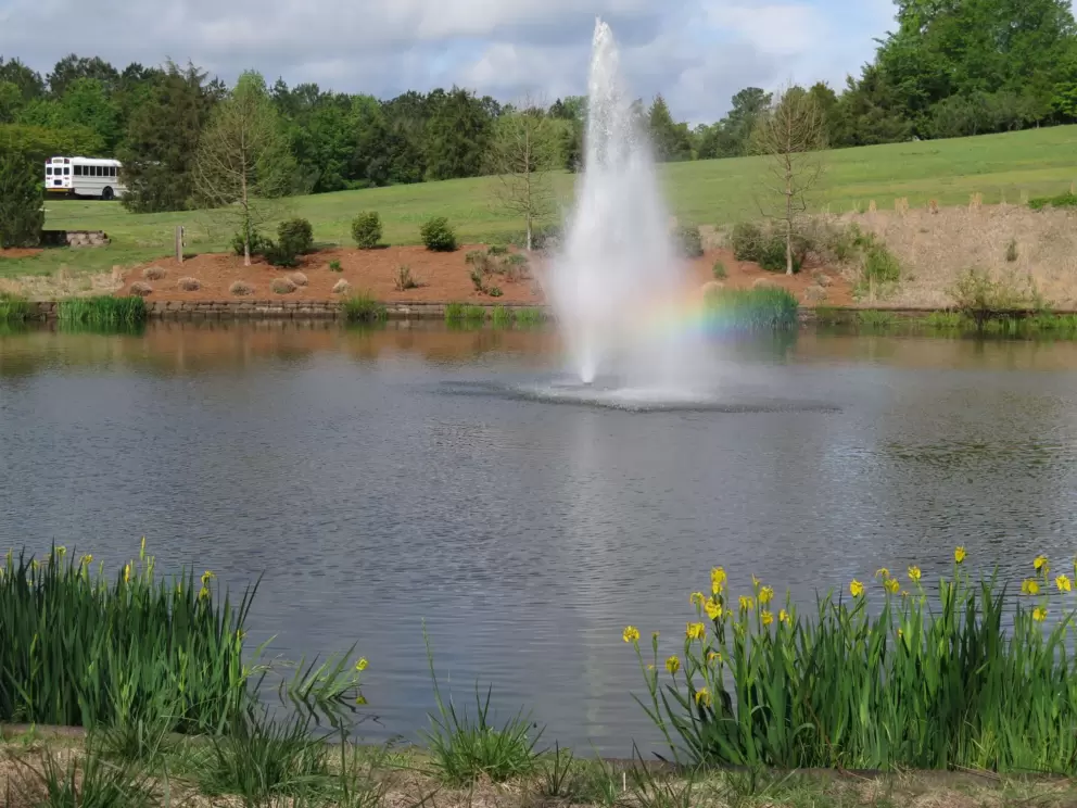 Rainbow in the fountain.