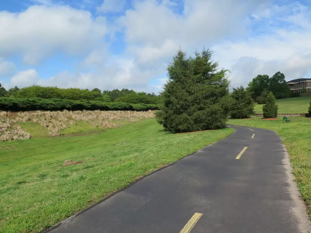 Wide open area by the main road.