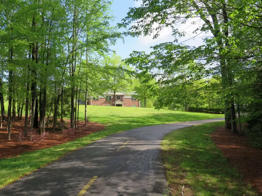 Pretty leaves to walk beneath.