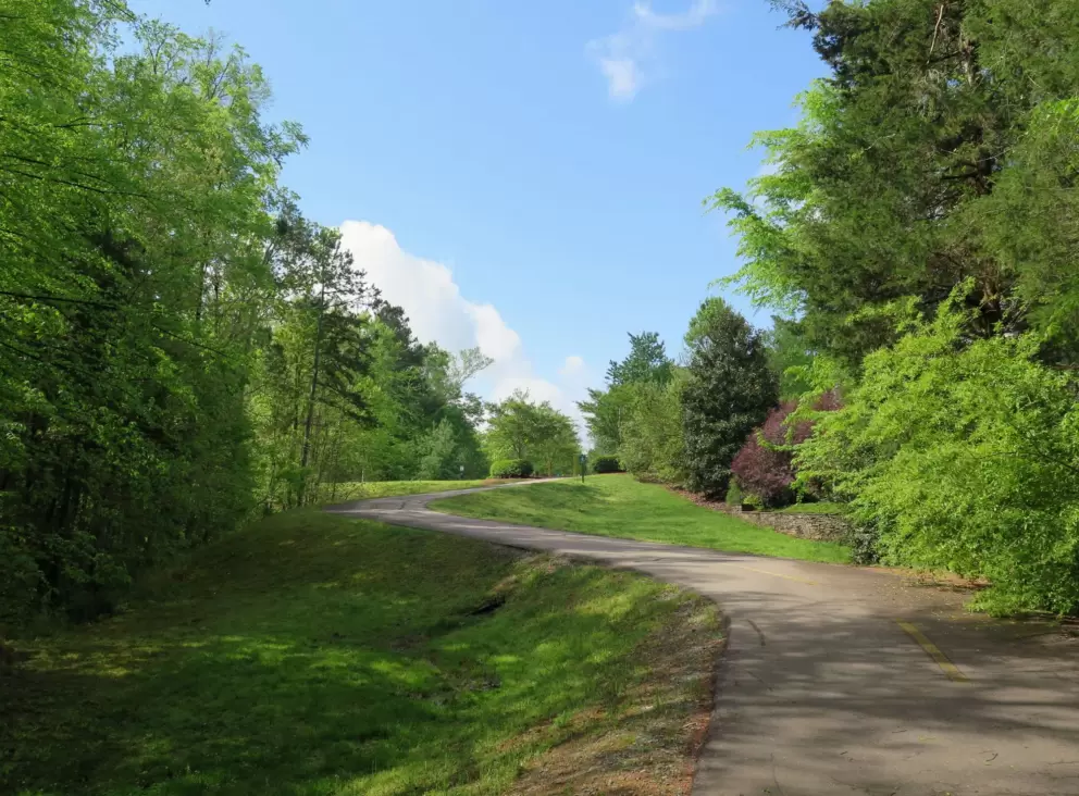 Blue sky and path uphill.