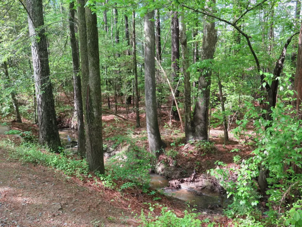 The stream is beside you.