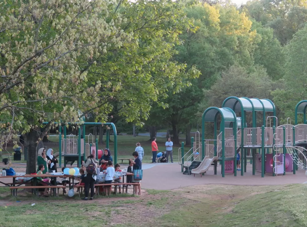 Party at the picnic table.