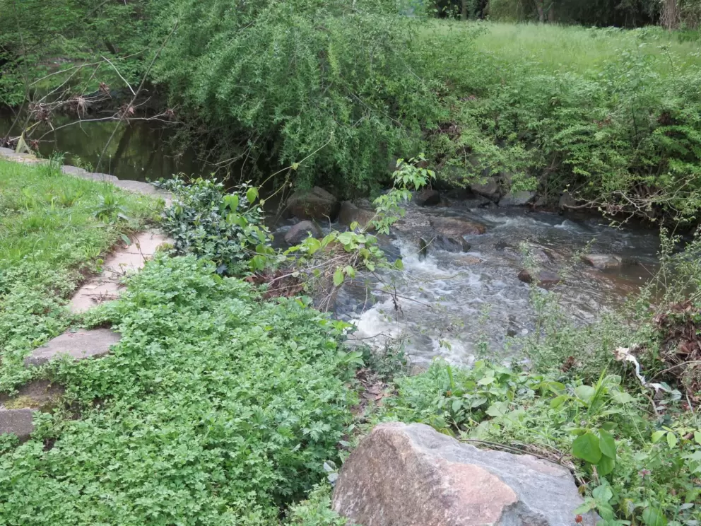 The creek!