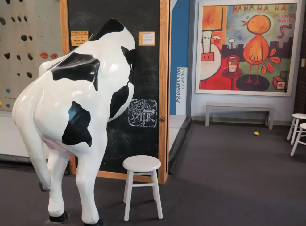 Milk a cow.