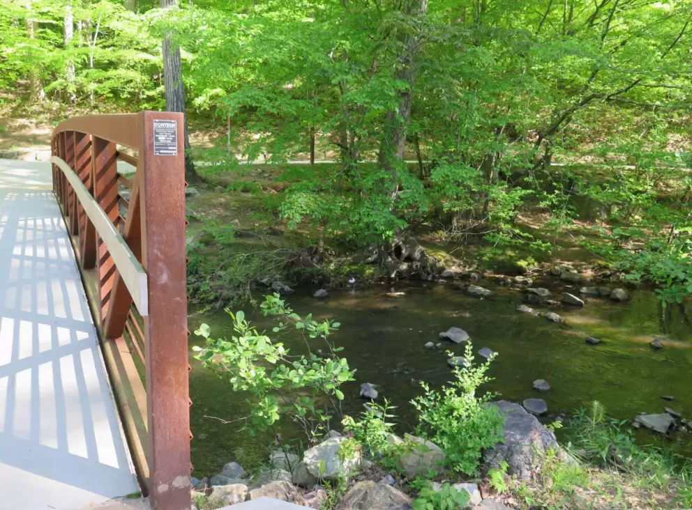 Bridge to Bolin Creek Greenway, and the creek.
