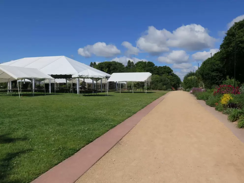 Tents set up for an event.