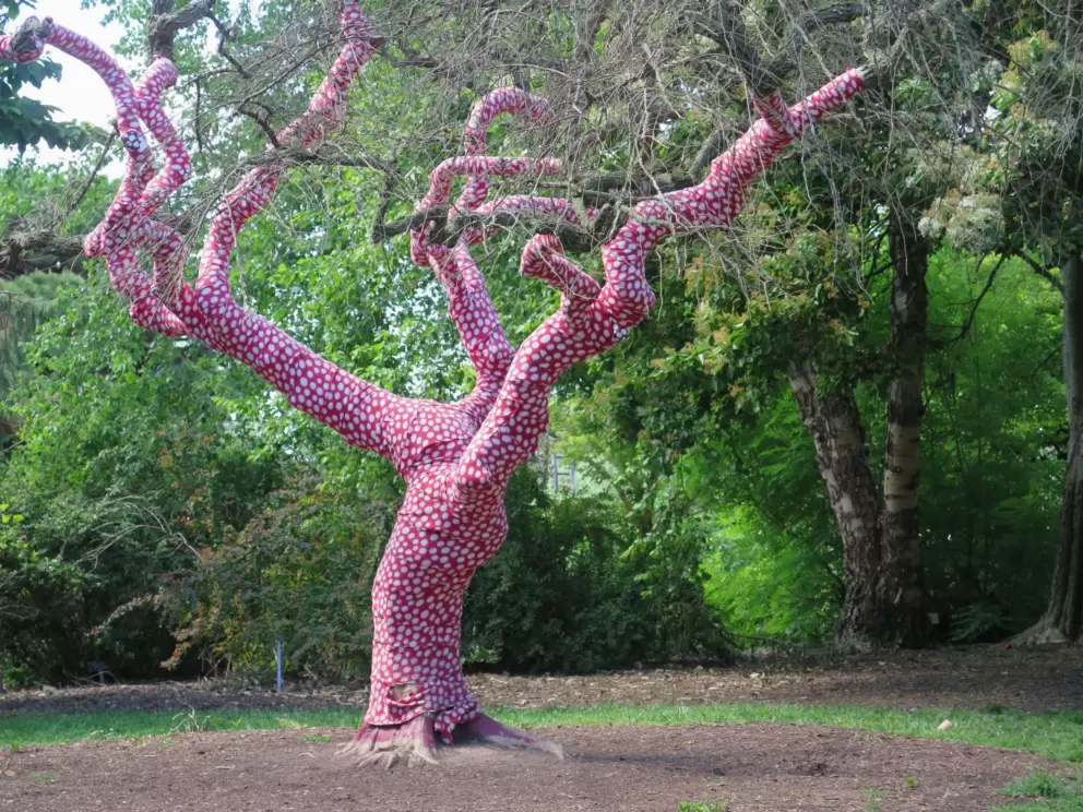 Decorated tree!