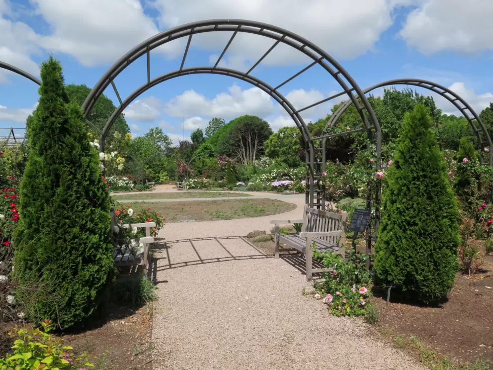 Arches in the rose garden.