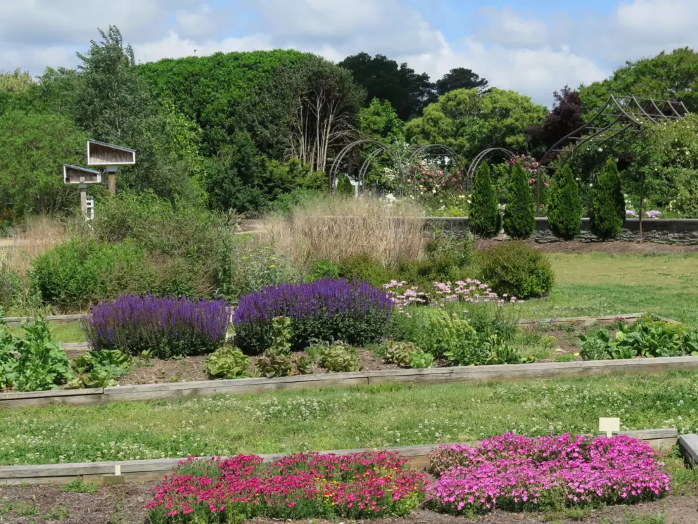 Flower beds.