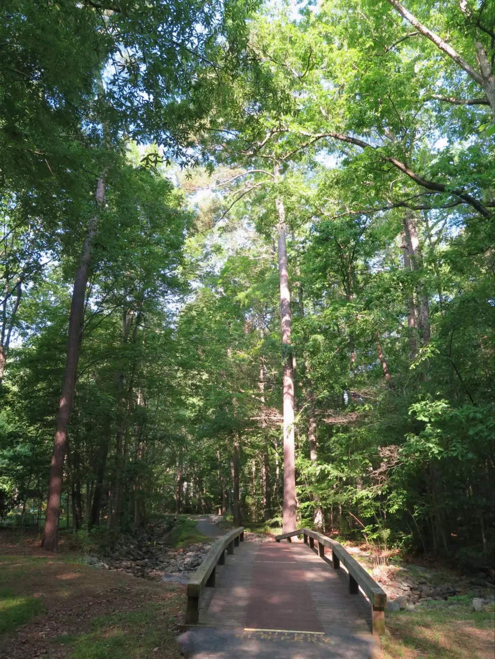 Pedestrian bridge over the creek.