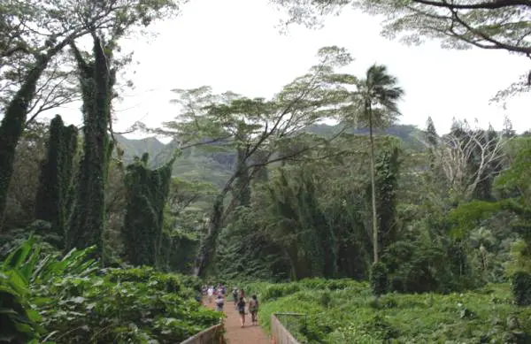 The beginning of the hike.