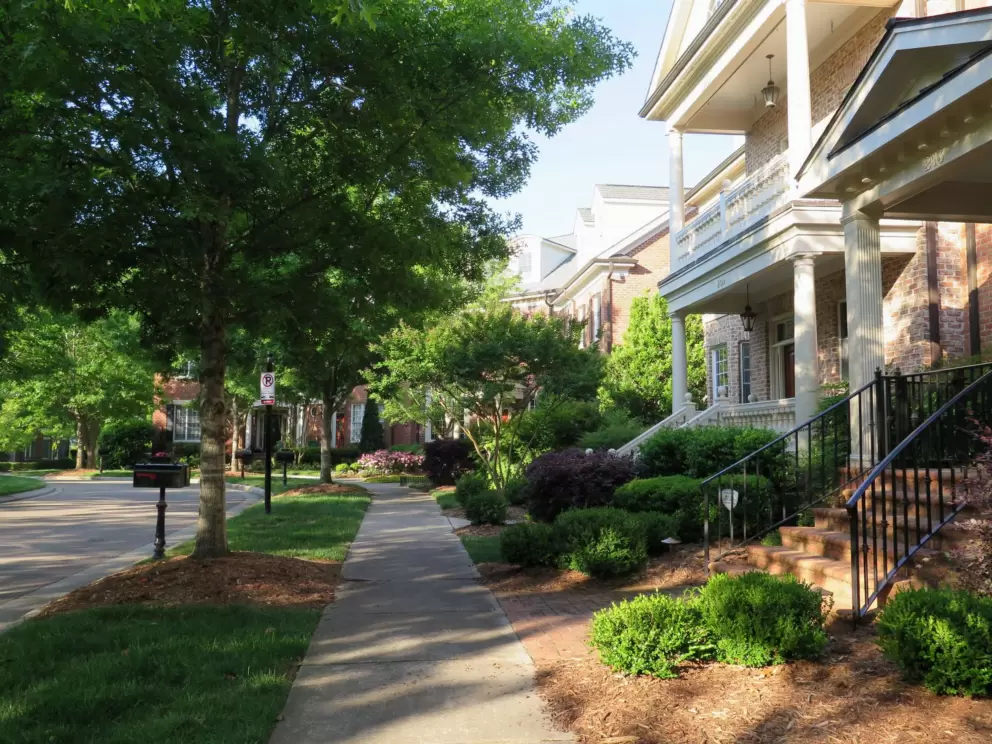 Shady street to walk along- Oak Park Lane.