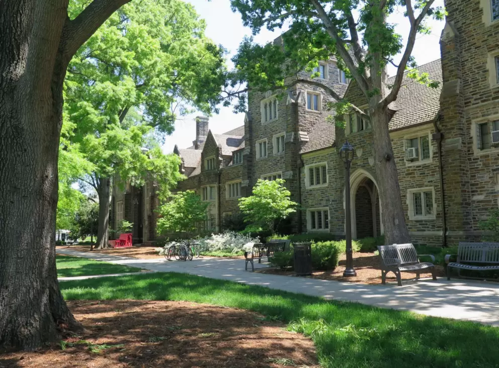 Shady places to stroll.