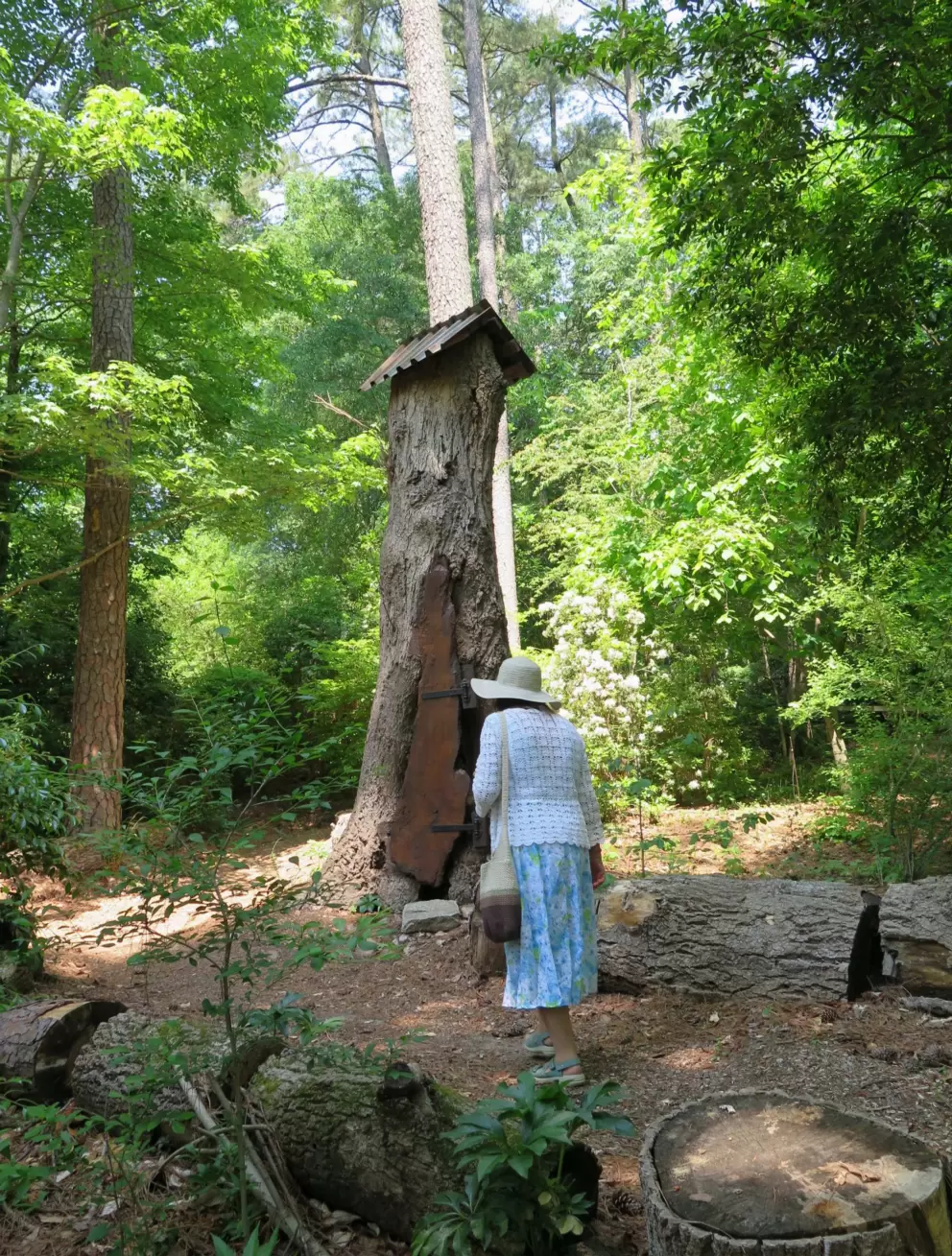Walking around the garden. It is not paved.