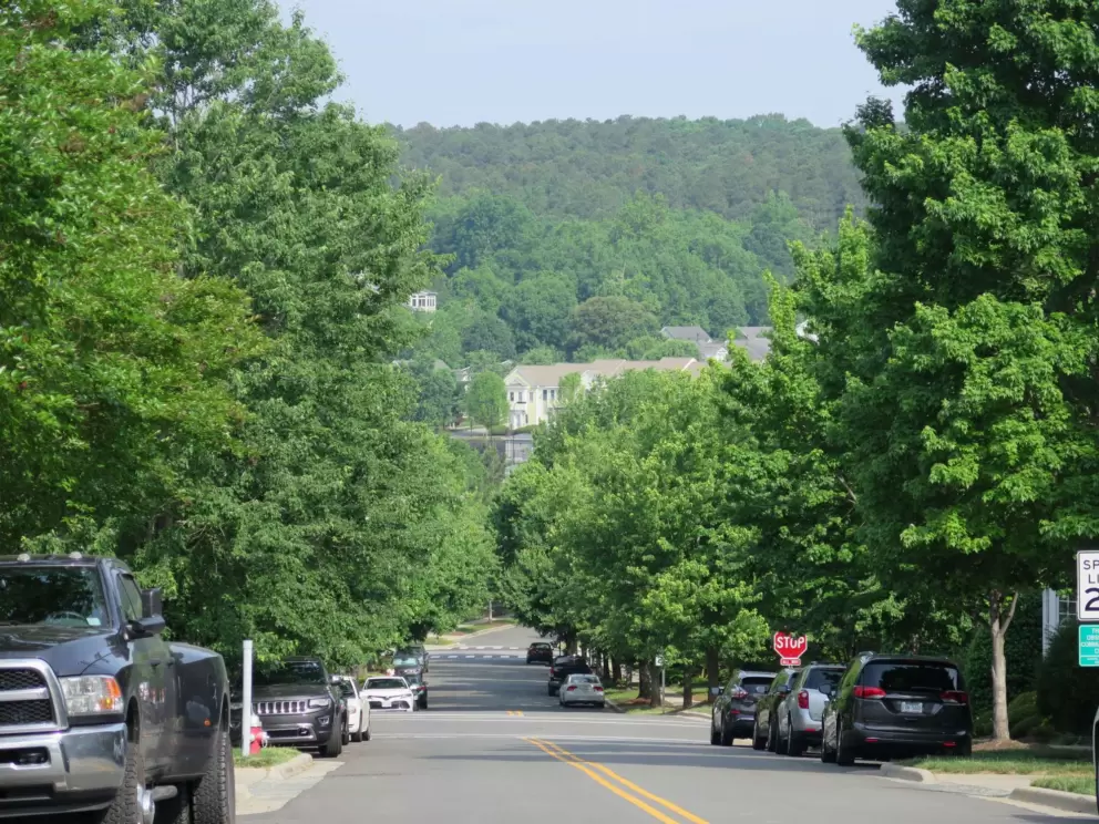 Looking down Brookgreen Dr, one of the side streets off the main strip.