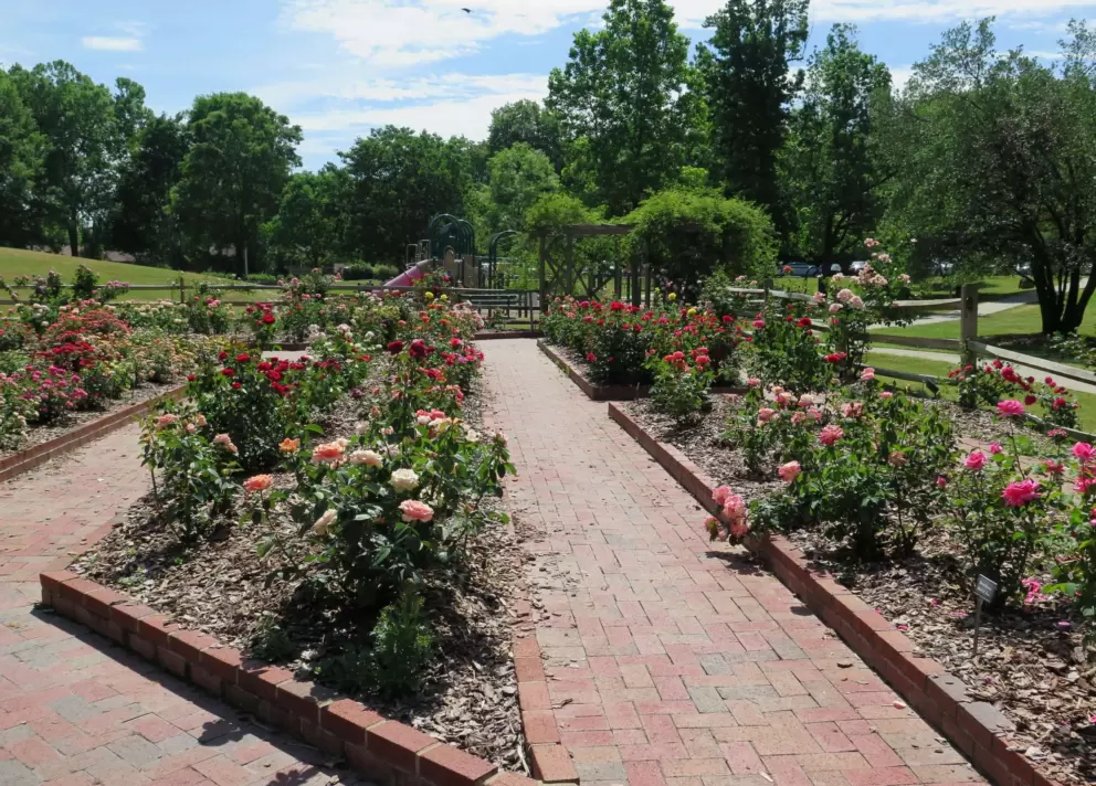 Looking along the rose garden walkway to the playground.