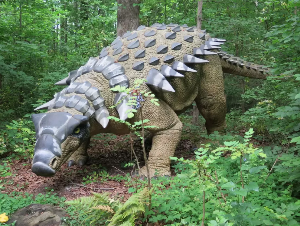 It's so fun to explore the Dinosaur Walk!