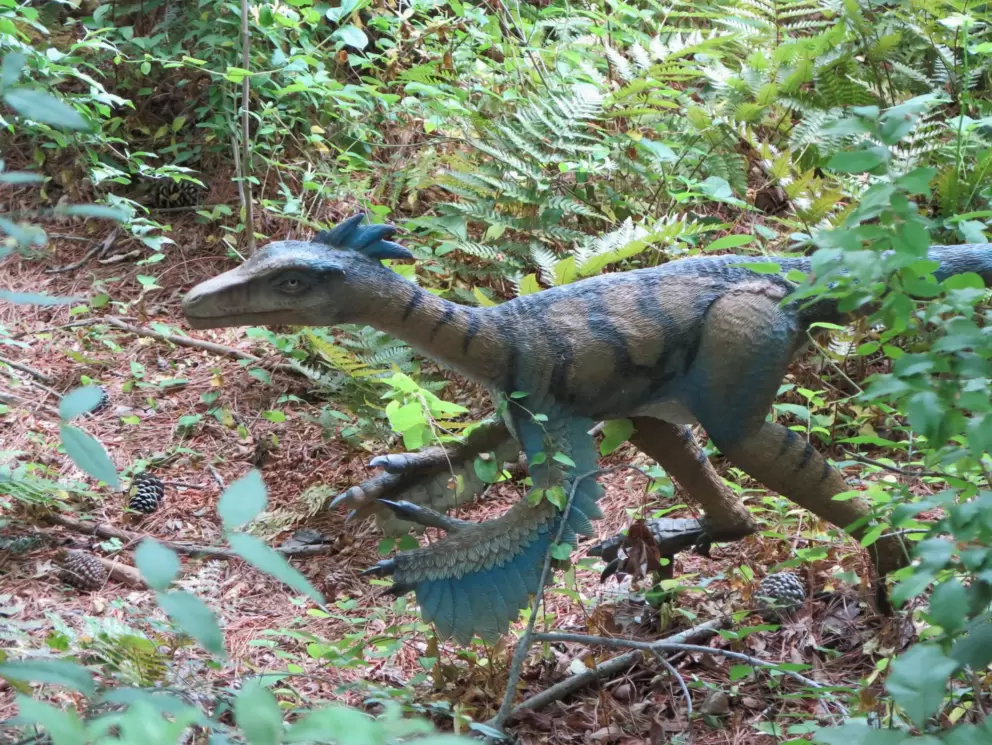 Troodon dinosaurs had air-filled bones like birds.