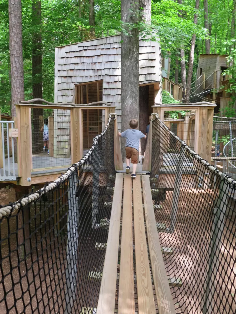 Climbing a wooden plank.