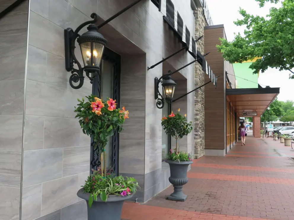 Hibiscus flowers and lanterns.