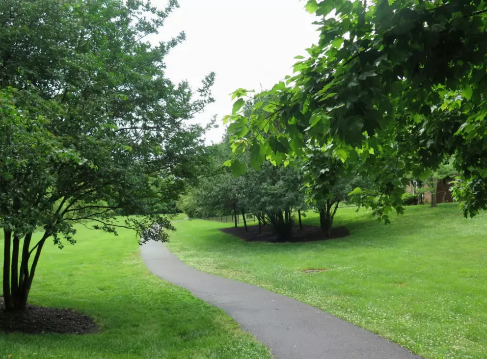 Beginning of the east end of the trail- the one on google maps.