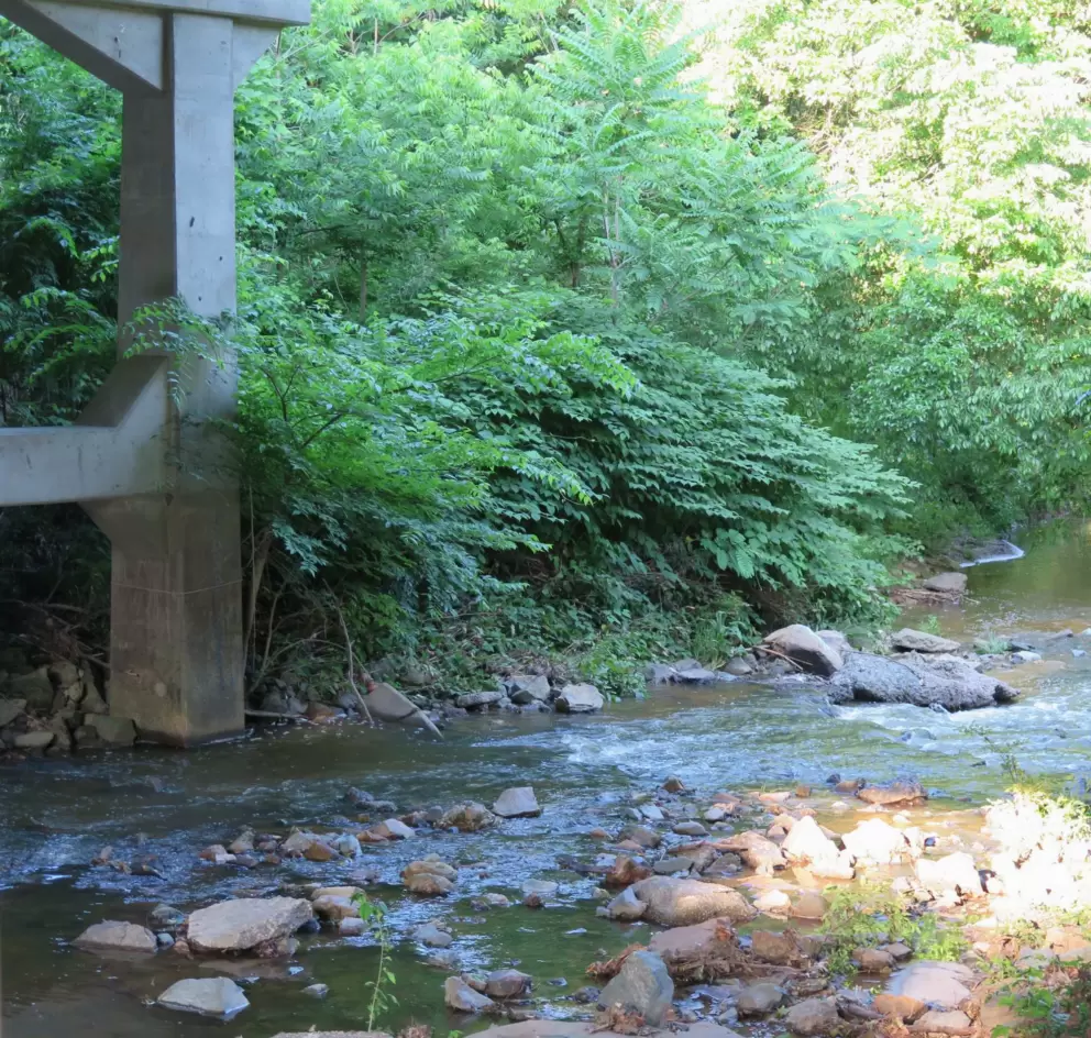 Evening at Bolin Creek.