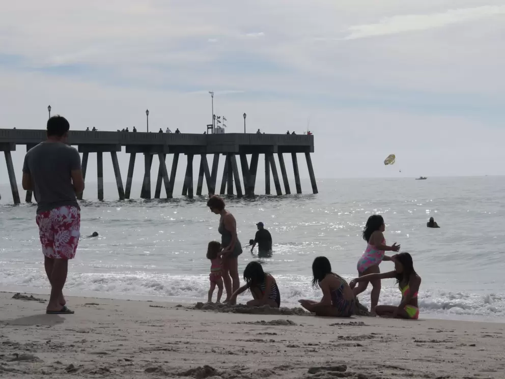 Kids playing on the shore.