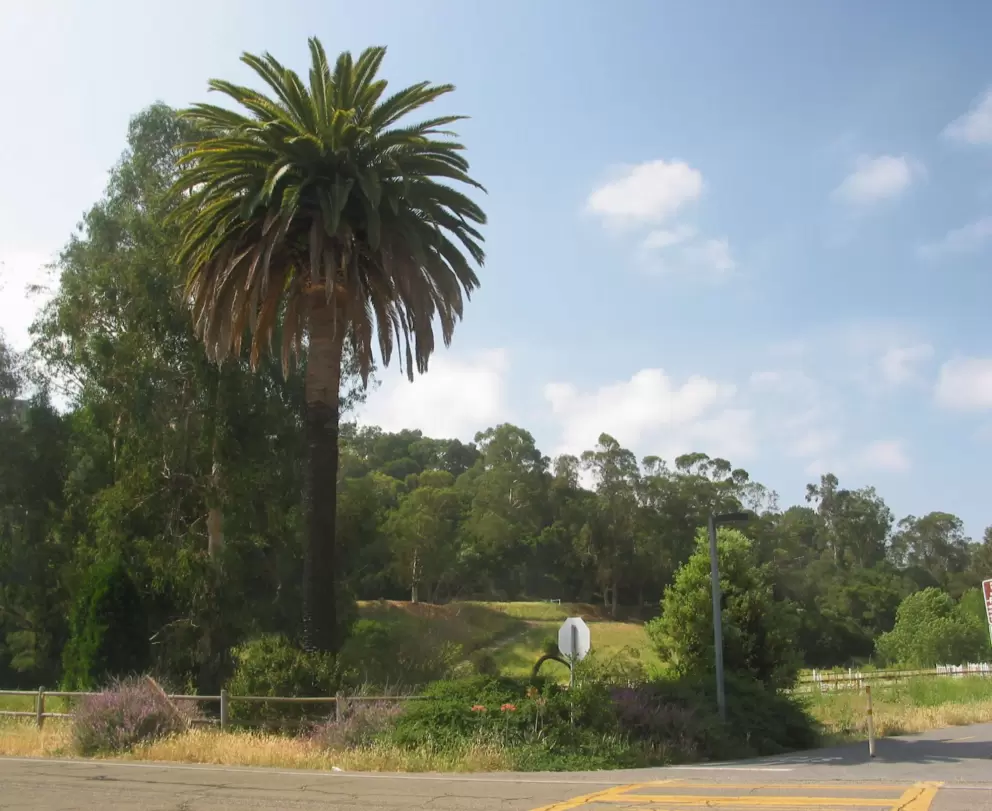 Beginning of the bike path, at Modoc Rd. 