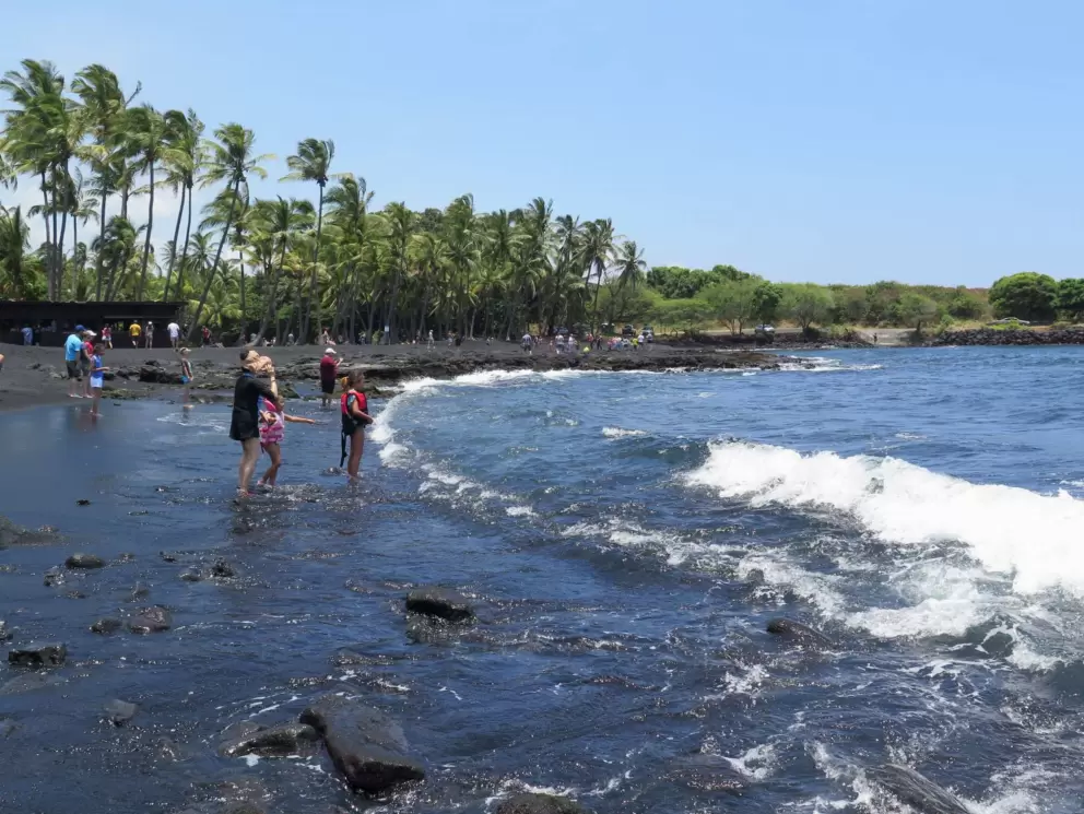 The beach is so beautiful with its border of coconut trees!