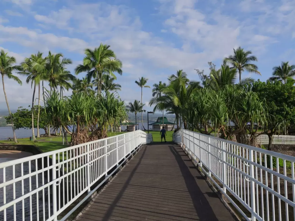 Bridge to Coconut Island.