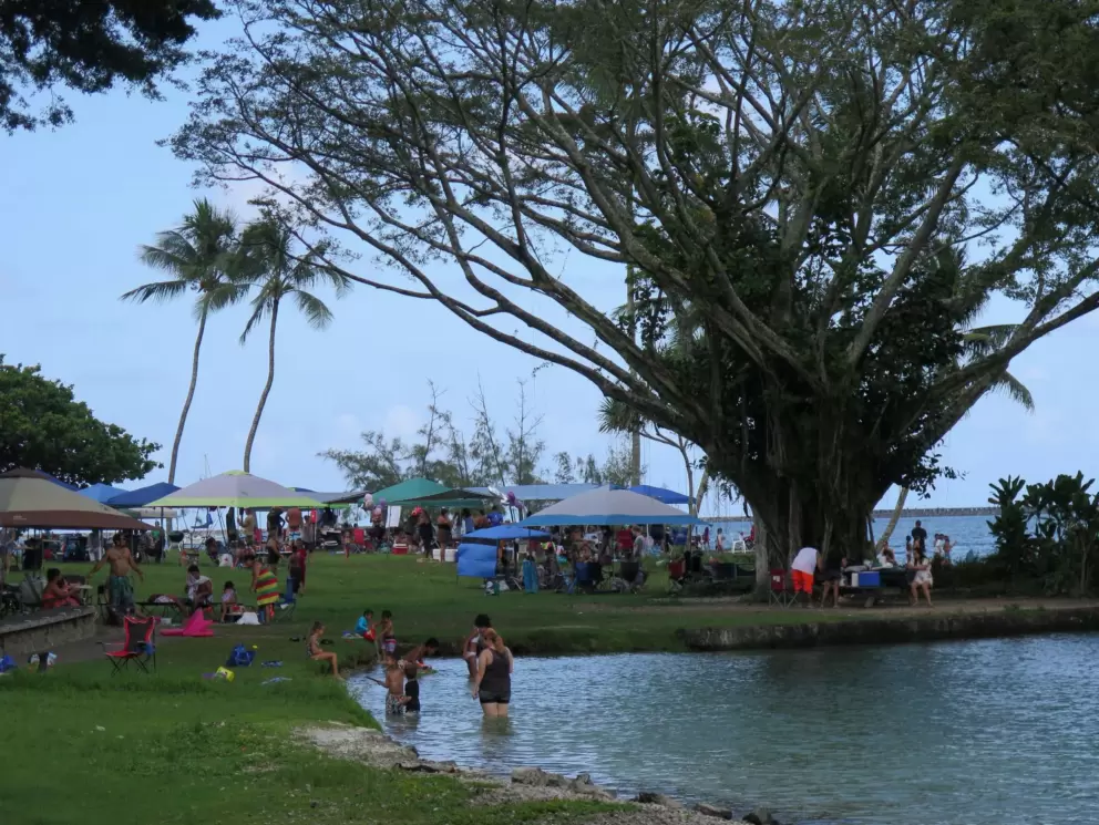 Large family gatherings.