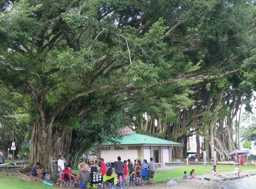 Big weekend gathering.