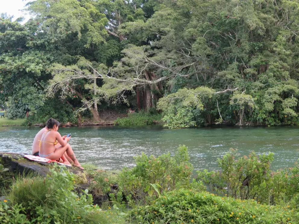 Sitting on a rock in the sun.