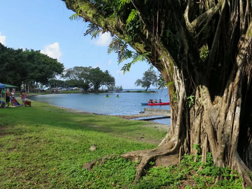 Golden light at end of day.