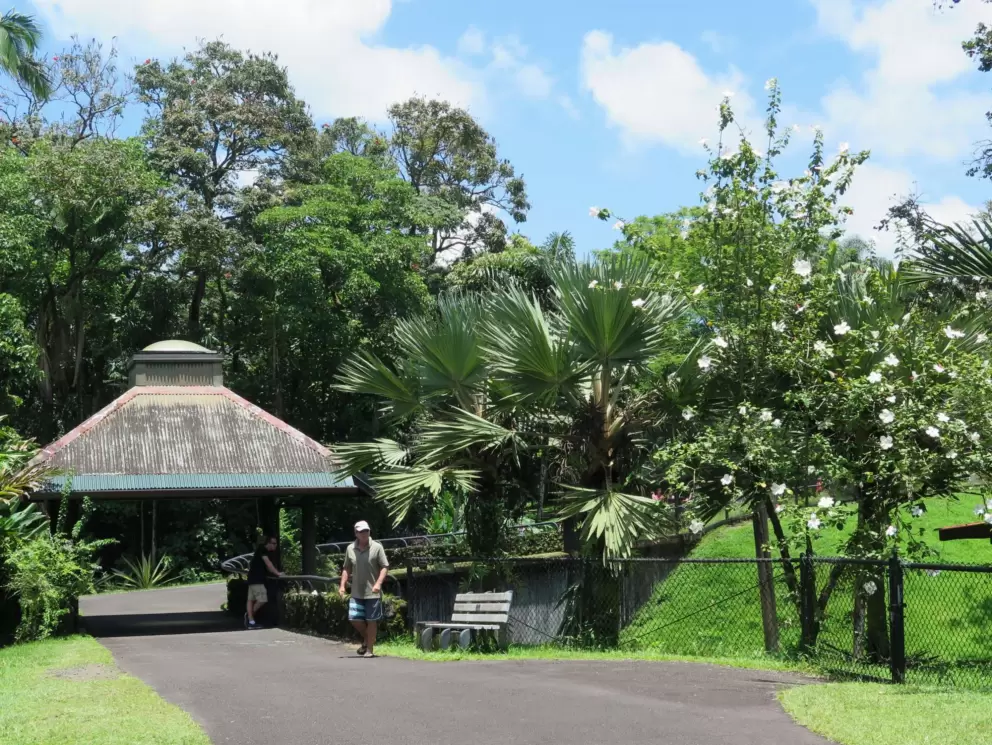 Flowers and shade hut.